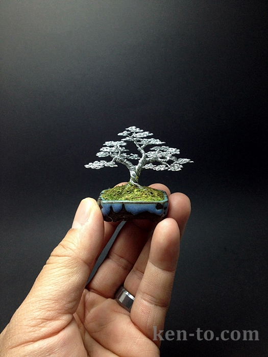 Upright wire bonsai tree sculpture by Ken To