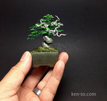 Exhibition grade wire bonsai tree by Ken To