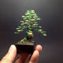 3-color green wire bonsai tree by Ken To