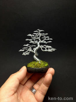 Silver informal upright wire bonsai tree by Ken To