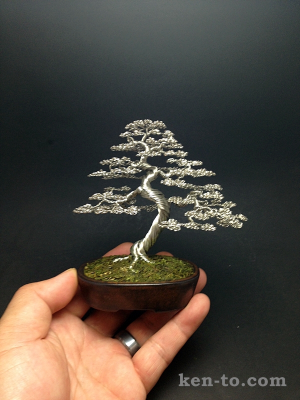 Large exhibition grade wire bonsai tree by Ken To