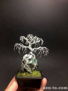 Weeping wire bonsai tree on rock by Ken To