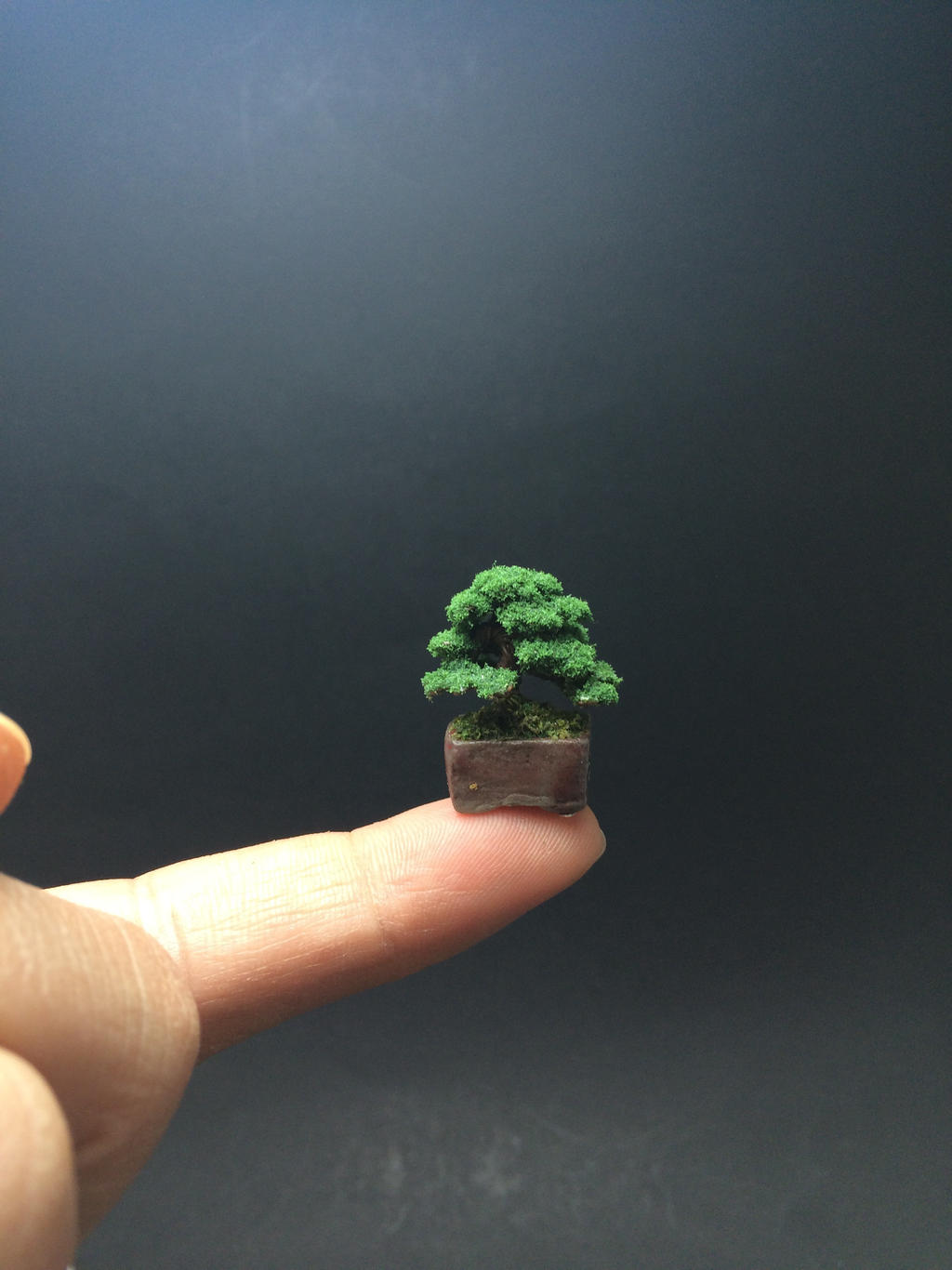 Micro flocked wire bonsai tree by Ken To