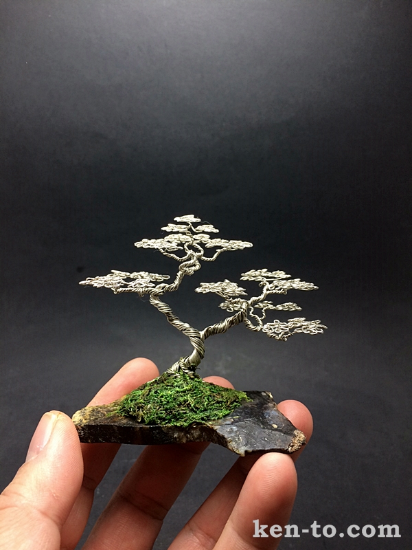 Twin-trunk wire bonsai tree by Ken To