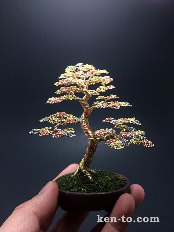 Large 3 color wire bonsai tree by Ken To