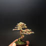 3-color wire bonsai tree by Ken To