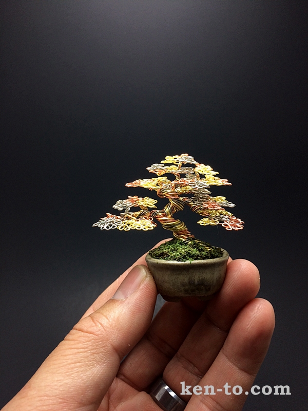 3-color mame wire bonsai tree by Ken To