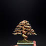 Large 3-color wire bonsai tree by Ken To