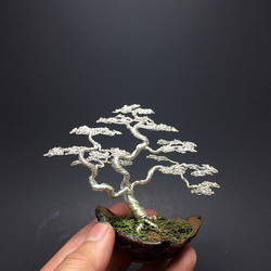 3-trunk wire bonsai tree sculpture by Ken To