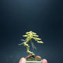 Gold literati wire bonsai tree sculpture by Ken To