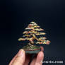 3-color contored wire bonsai tree by Ken To