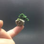 Micro flocked wire bonsai tree by Ken To