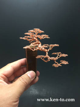 Chinese inspired wire bonsai tree by Ken To