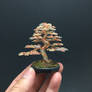 3-color wire bonsai tree by Ken To