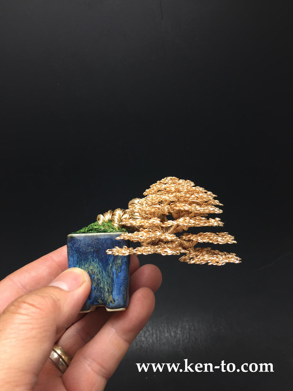 Semi-cascade wire bonsai tree by Ken To by KenToArt