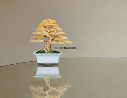 Gold wire mame bonsai tree by Ken To