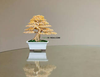 Gold wire mame bonsai tree by Ken To