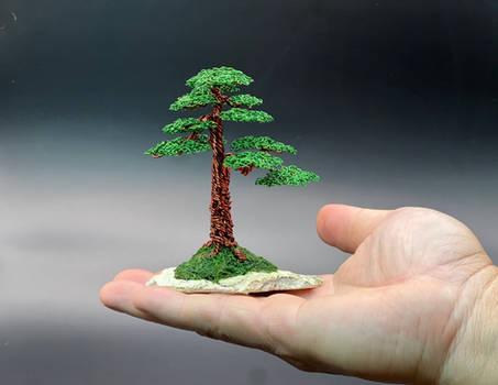 Mame wire bonsai tree on slab by Ken To