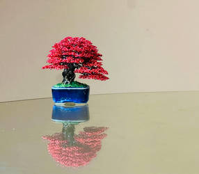 Red mame wire bonsai tree by Ken To