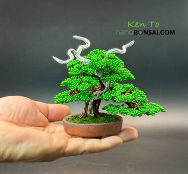 Mame wire bonsai tree with deadwood by Ken To