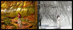 Autumn Into Winter Goes by LadyShamisen