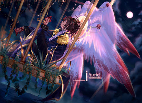 Vogelkaefig