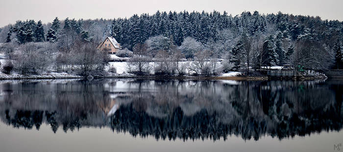 Winter Reflection