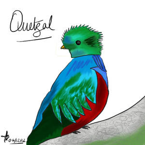 Quetzal