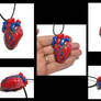 Anatomical Heart Pendant