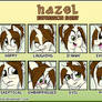 Hazel Expression Sheet