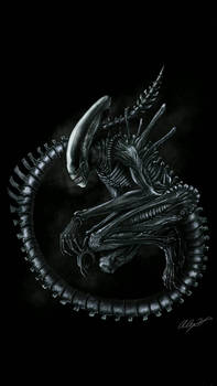 xenomorph 