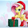 Fluttershy's Present