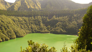 Green water I