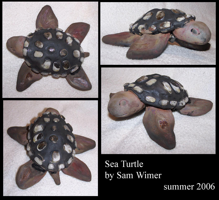 Sam Turtle Deviantart Sea Turtle by sam92088 on DeviantArt