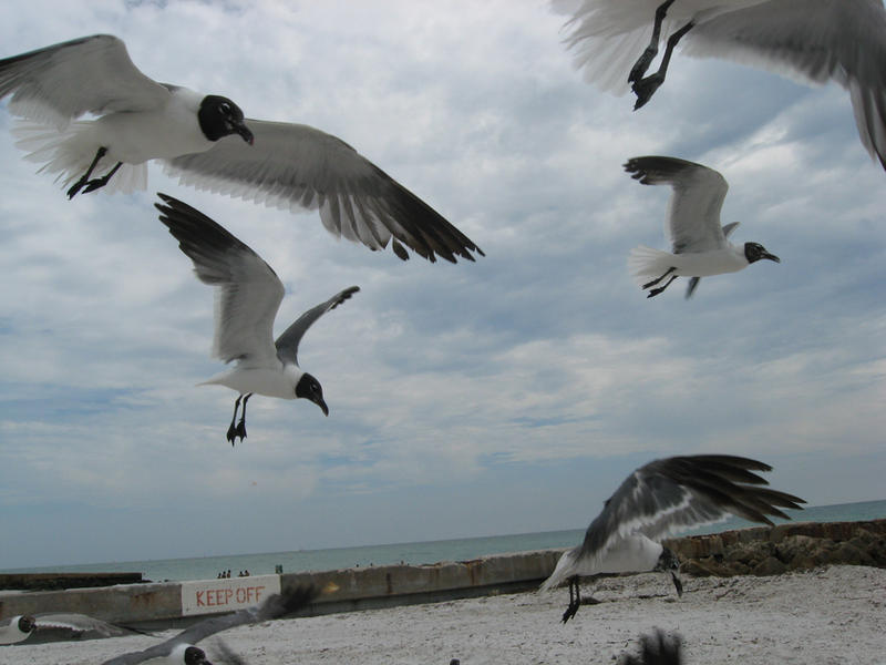 in flight_0025