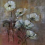 white poppies texture