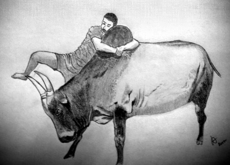 Pencil Art Jallikattu Kaalai Pencil Drawing