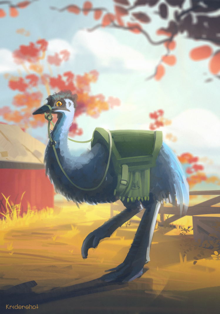 Emu Rider Emu by Kridershot on DeviantArt