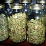 Jars of Greens