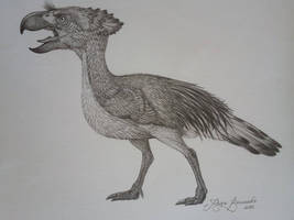 Paraphysornis brasiliensis