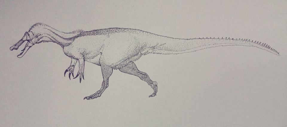 Baryonyx walkeri