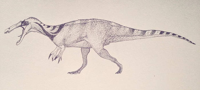 Suchomimus tenerensis