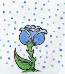 Blue Rose