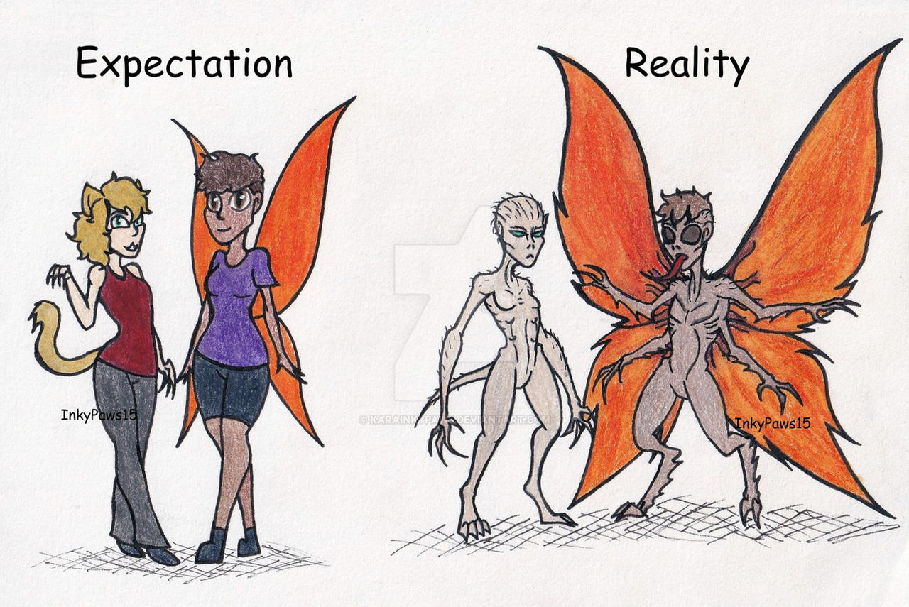 Expectation vs Reality