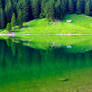 Seealpsee Symmetry