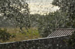 Raindrop Bokeh by alban-expressed