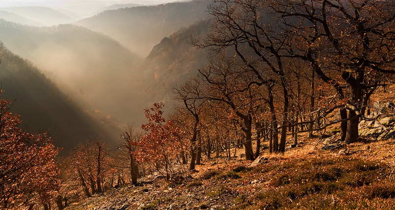 Fog Boiling up