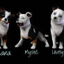 1st litter with Cooper and Grace on Sims 3 Pets