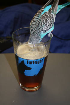 Strawberry Pilsner, Parakeet Approved