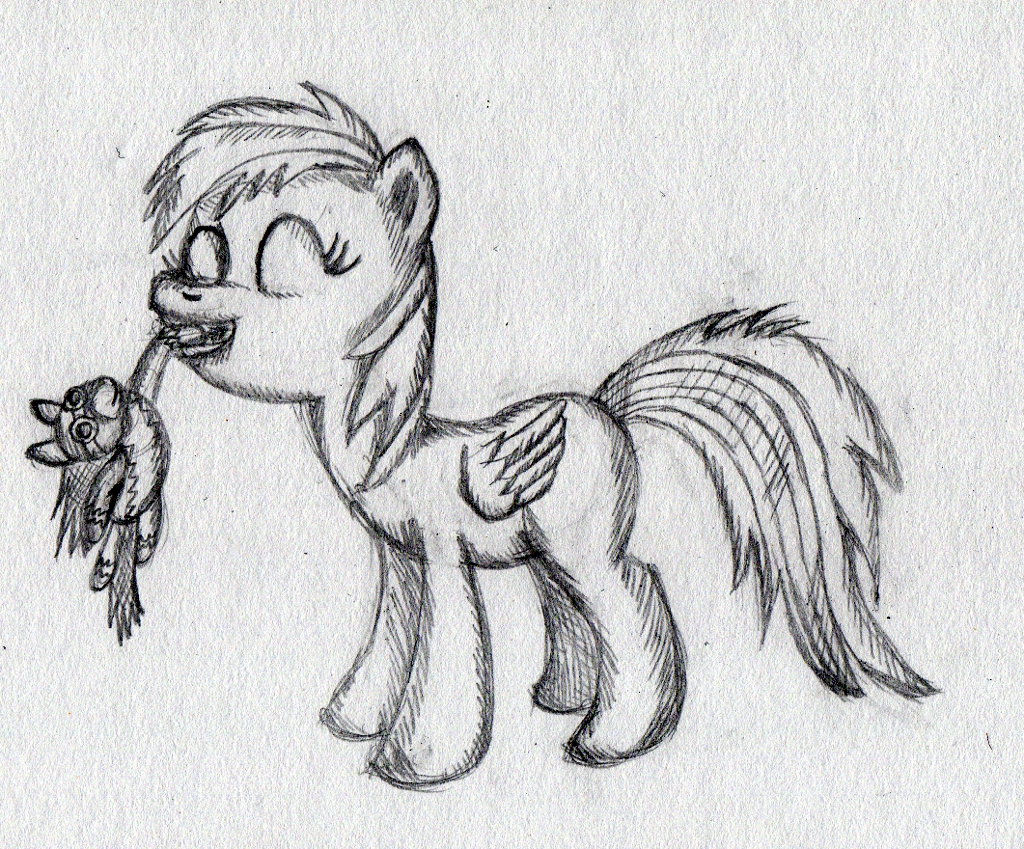 Filly Dashie and Her Plush